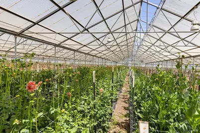 4288 Bodega Avenue, Petaluma, CA 94952 - Photo 32