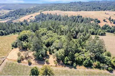 0 S Bodega Highway, Freestone, CA 95472 - Photo 24