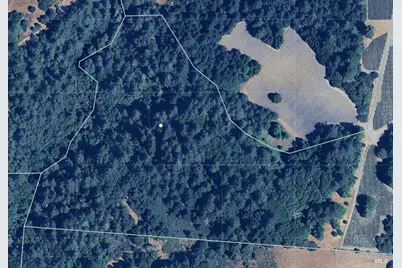 0 S Bodega Highway, Freestone, CA 95472 - Photo 4