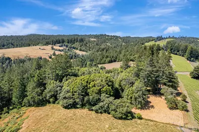 0 S Bodega Highway, Freestone, CA 95472 - Photo 28