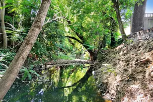 255 E Napa St, Sonoma, CA 95476 - Photo 20