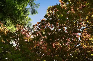 110 Calle Merlot, Sonoma, CA 95476 - Photo 56