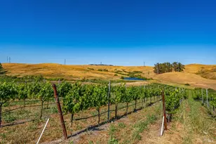 6513 Lakeville Hwy, Petaluma, CA 94954 - Photo 50