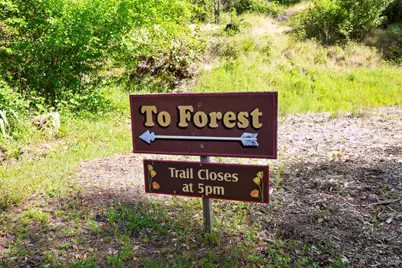 4100 Petrified Forest Road, Calistoga, CA 94515 - Photo 60