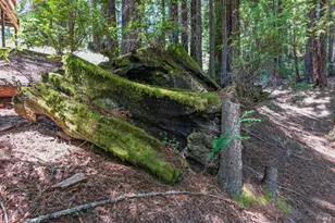 46321 Redwood Way, Gualala, CA 95445 - Photo 20