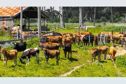 21601 S Highway 1 Highway, Point Arena, CA 95468 - Photo 30