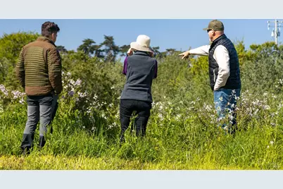 21601 S Highway 1 Highway, Point Arena, CA 95468 - Photo 52