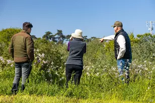 21601 S Hwy 1 Hwy, Point Arena, CA 95468 - Photo 52