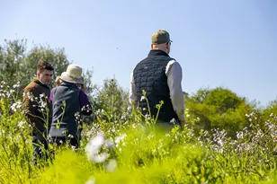 21601 S Hwy 1 Hwy, Point Arena, CA 95468 - Photo 56