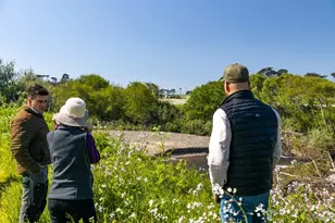 21601 S Hwy 1 Hwy, Point Arena, CA 95468 - Photo 54