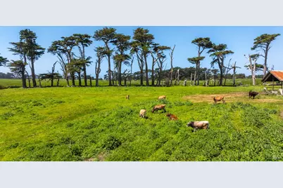 21601 S Highway 1 Highway, Point Arena, CA 95468 - Photo 48
