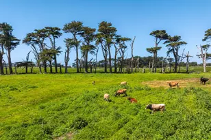 21601 S Hwy 1 Hwy, Point Arena, CA 95468 - Photo 48