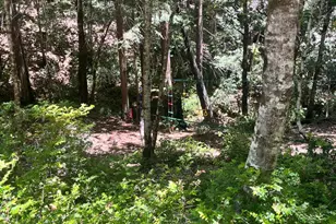 24413 Rose Terrace, Willits, CA 95490 - Photo 1