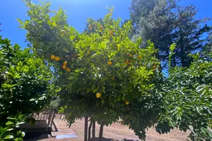 16880 Coleman Valley Rd, Occidental, CA 95465 - Photo 54