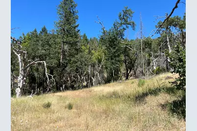 20925 Mid Mountain (17N17 Usfs) Road, Upper Lake, CA 95469 - Photo 6
