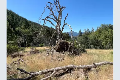 20925 Mid Mountain (17N17 Usfs) Road, Upper Lake, CA 95469 - Photo 12