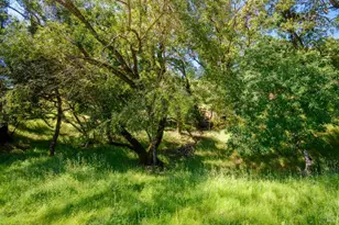 0 Sunnyhill Ln, Napa, CA 94558 - Photo 1