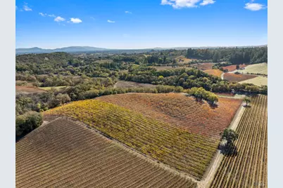 6750 River Road, Forestville, CA 95436 - Photo 12