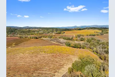 6750 River Road, Forestville, CA 95436 - Photo 4