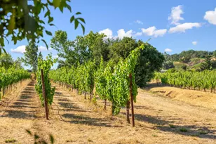 14347 Hwy 12, Glen Ellen, CA 95442 - Photo 66