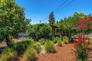 1705 Adele St, Calistoga, CA 94515 - Photo 44