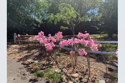 4290 Gravenstein Highway, Sebastopol, CA 95472 - Photo 10