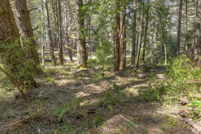 35205 Fly Cloud Road, The Sea Ranch, CA 95497 - Photo 8