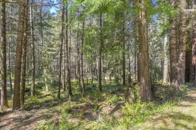 35205 Fly Cloud Road, The Sea Ranch, CA 95497 - Photo 12