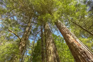 35205 Fly Cloud Rd, The Sea Ranch, CA 95497 - Photo 1