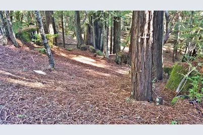 2421 Otter Lane, Willits, CA 95490 - Photo 4