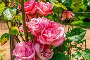 44150 Nash Mill Rd, Philo, CA 95466 - Photo 20