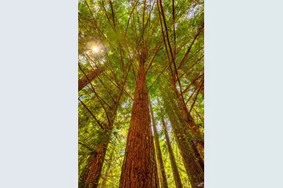 44150 Nash Mill Road, Philo, CA 95466 - Photo 22