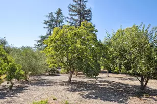 20685 5th St, Sonoma, CA 95476 - Photo 68