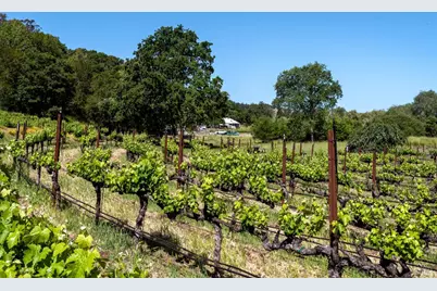 10200 Ca-12 Highway, Kenwood, CA 95452 - Photo 22