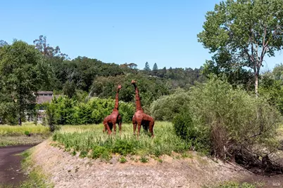 10200 Ca-12 Highway, Kenwood, CA 95452 - Photo 10