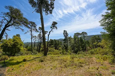 531 Via De La Vista, Inverness, CA 94937 - Photo 2