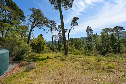 531 Via De La Vista, Inverness, CA 94937 - Photo 6