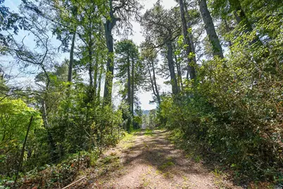 531 Via De La Vista, Inverness, CA 94937 - Photo 4
