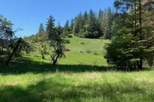 [Address not provided], Willits, CA 95490 - Photo 10