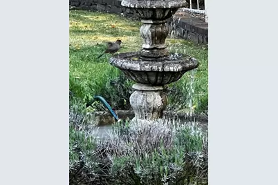 3556 Wood Valley Road, Sonoma, CA 95476 - Photo 36