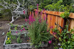 3556 Wood Valley Rd, Sonoma, CA 95476 - Photo 50