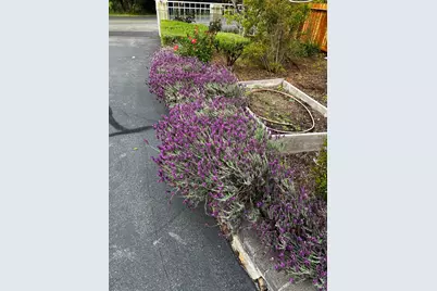 3556 Wood Valley Road, Sonoma, CA 95476 - Photo 30