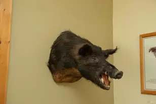 23 Wickersham Ranch Rd, Cloverdale, CA 95448 - Photo 8