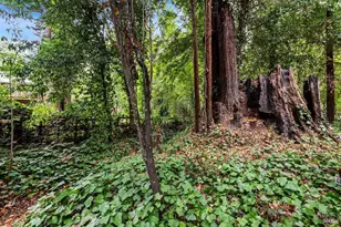 15990 Drake Rd, Guerneville, CA 95446 - Photo 62