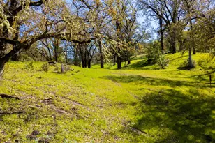 10301 E Hwy 20 Rd, Potter Valley, CA 95469 - Photo 22