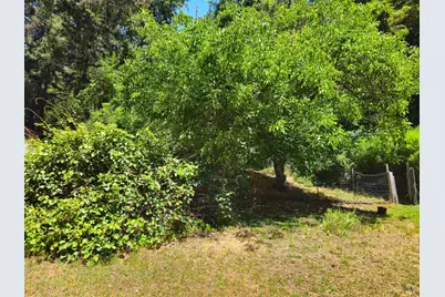 65235 Hwy 271 Highway, Leggett, CA 95585 - Photo 30