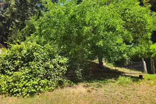 65235 Hwy 271 Hwy, Leggett, CA 95585 - Photo 30