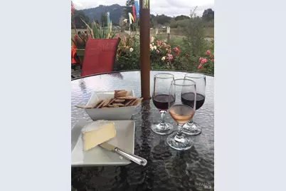 17599 Woods Avenue, Guerneville, CA 95446 - Photo 12