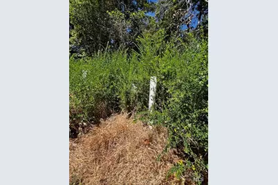 17599 Woods Avenue, Guerneville, CA 95446 - Photo 8