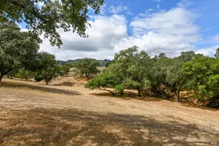 1219 Repetto Ranch Rd, Sonoma, CA 95476 - Photo 40